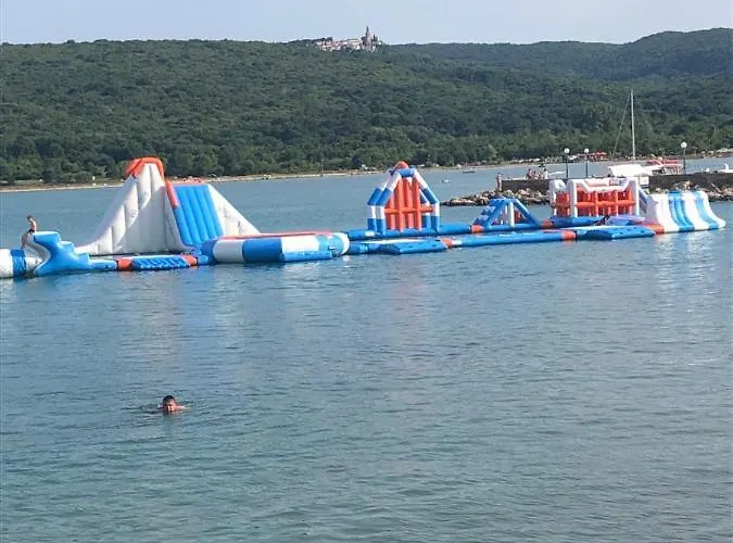 Daire Igor Čižići